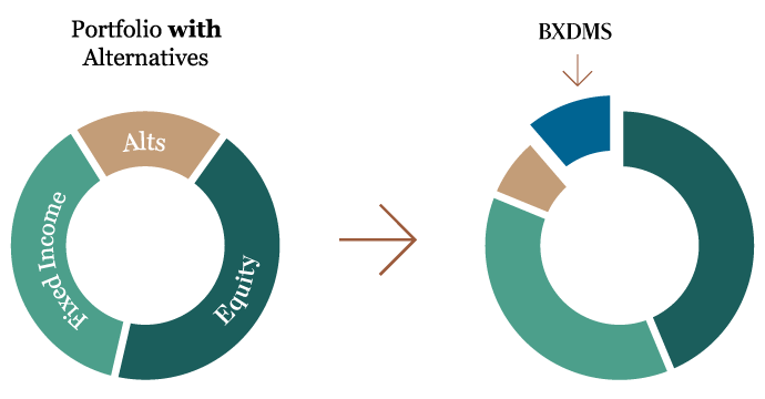 BXDMS | Blackstone Diversified Multi-Strategy Fund